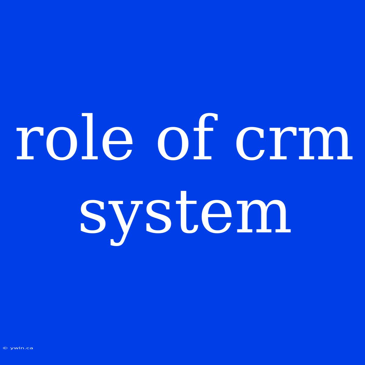 Role Of Crm System