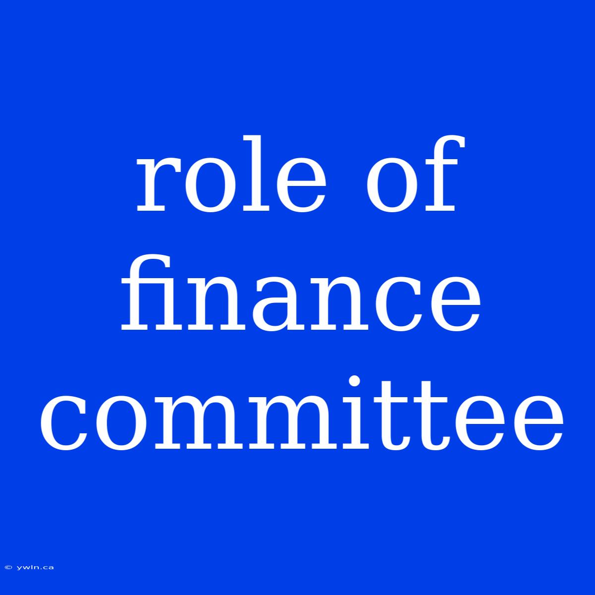 Role Of Finance Committee