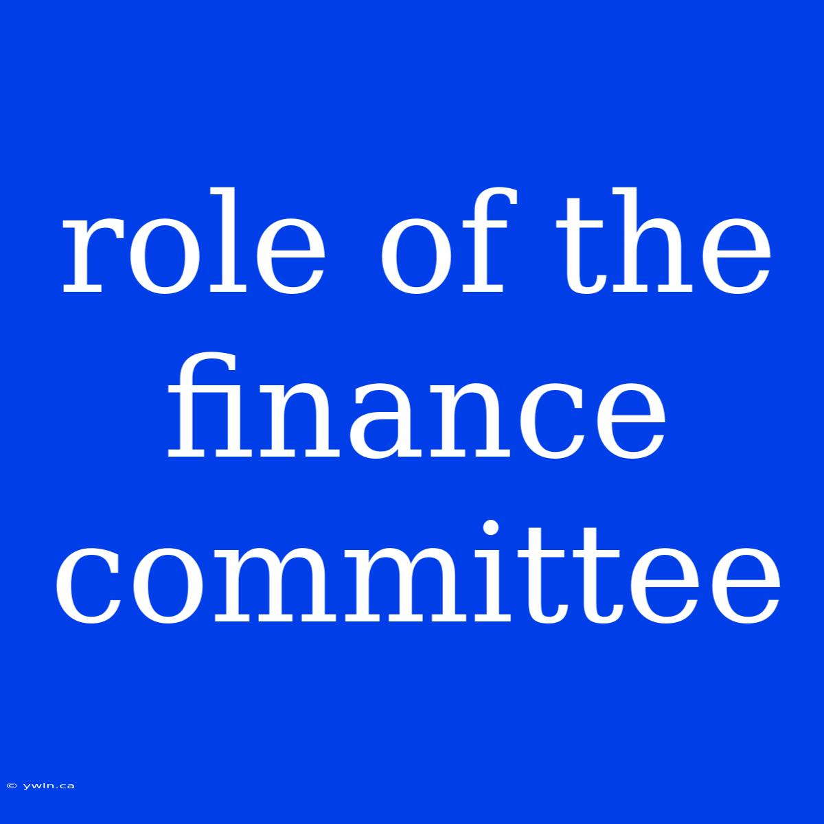 Role Of The Finance Committee