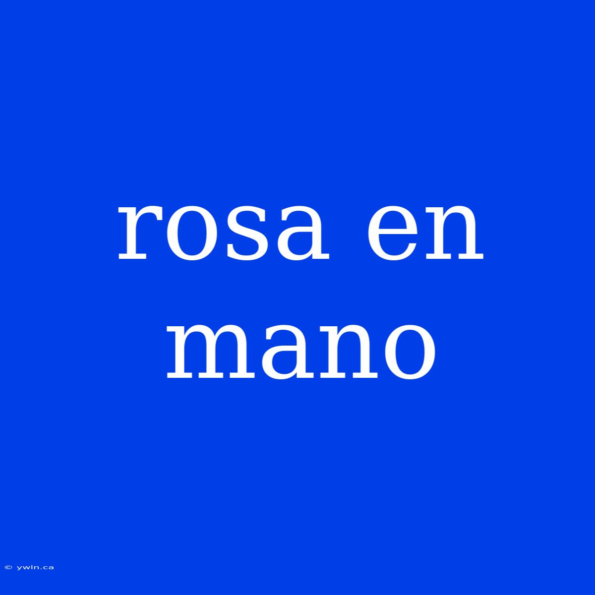 Rosa En Mano