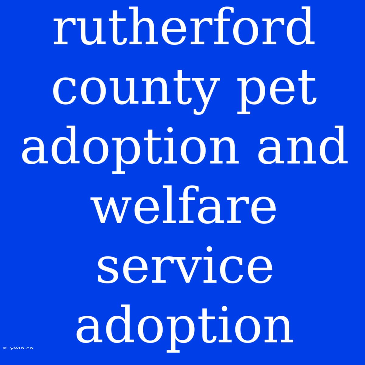 Rutherford County Pet Adoption And Welfare Service Adoption