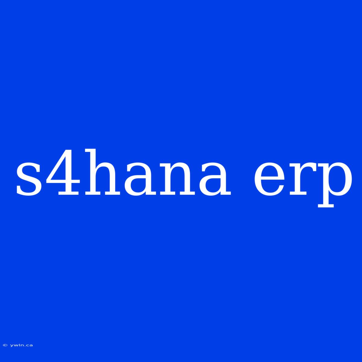 S4hana Erp