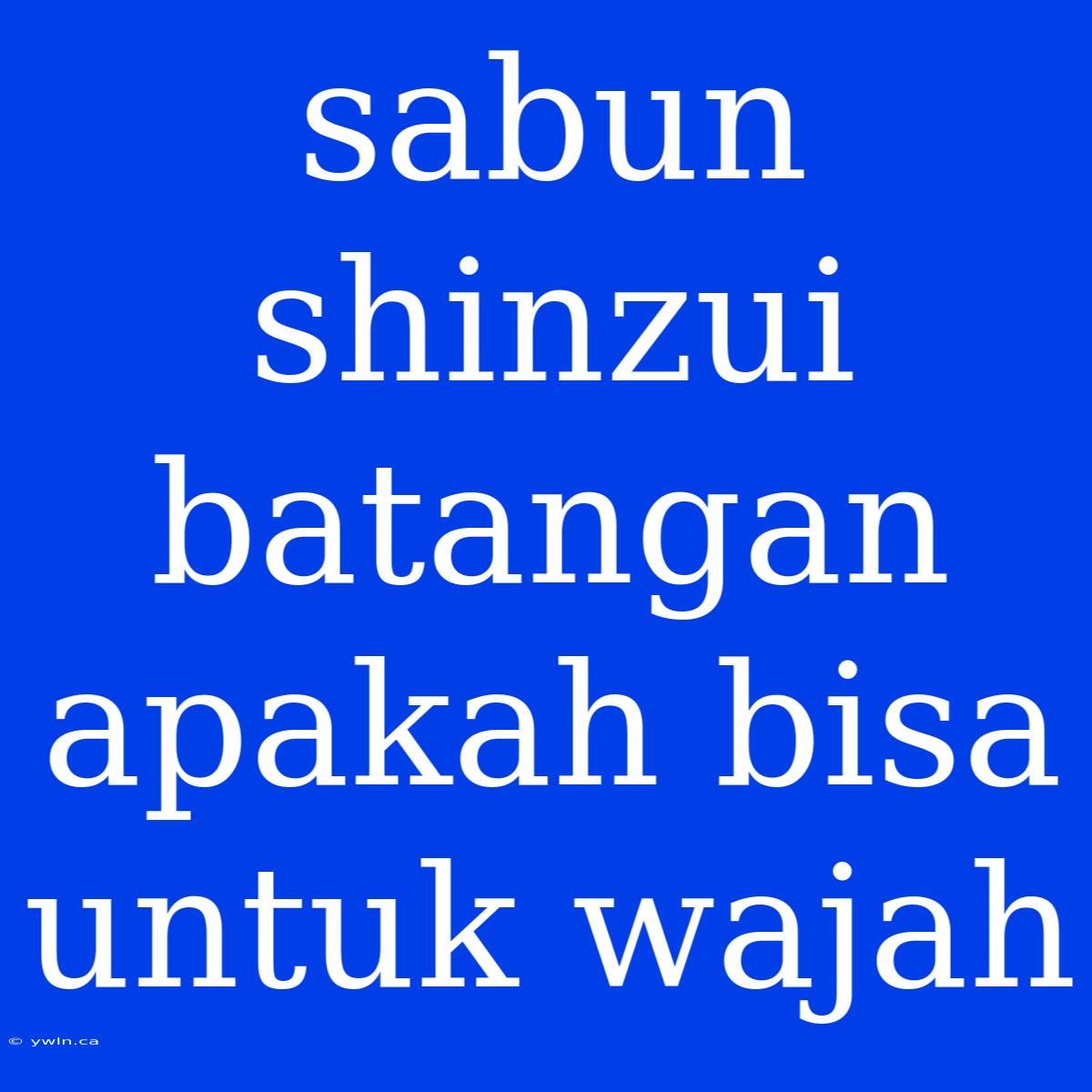 Sabun Shinzui Batangan Apakah Bisa Untuk Wajah