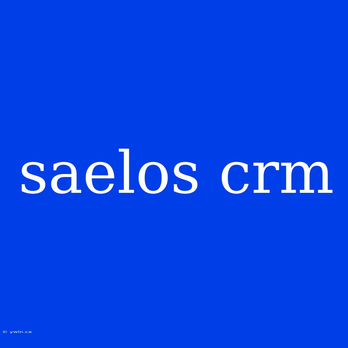 Saelos Crm