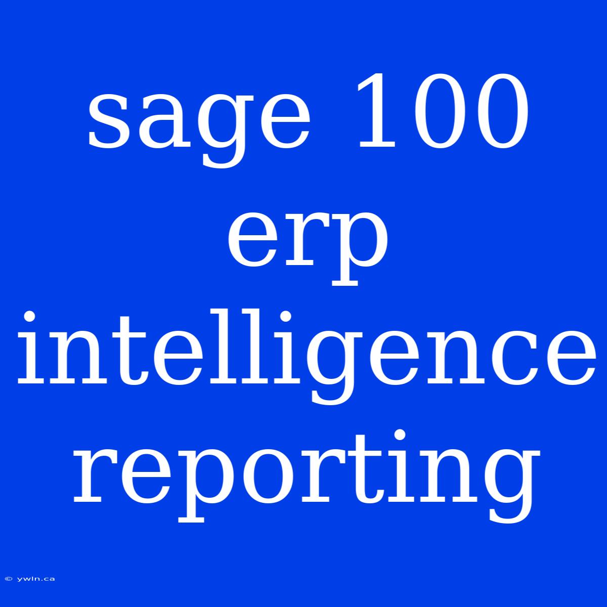 Sage 100 Erp Intelligence Reporting