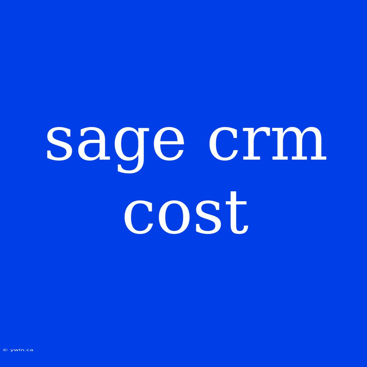 Sage Crm Cost