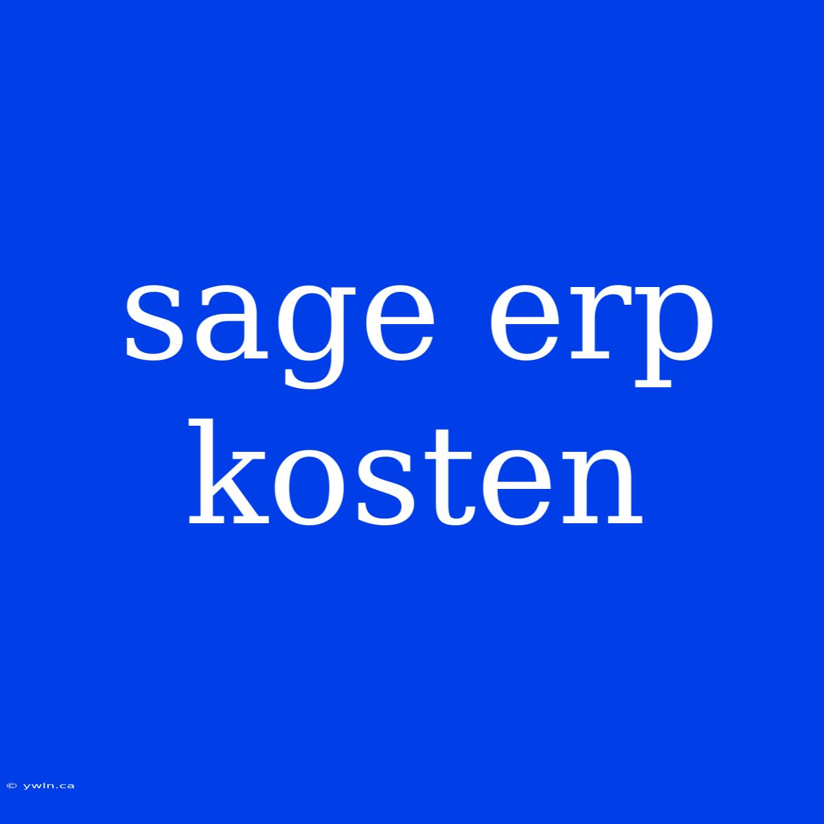 Sage Erp Kosten