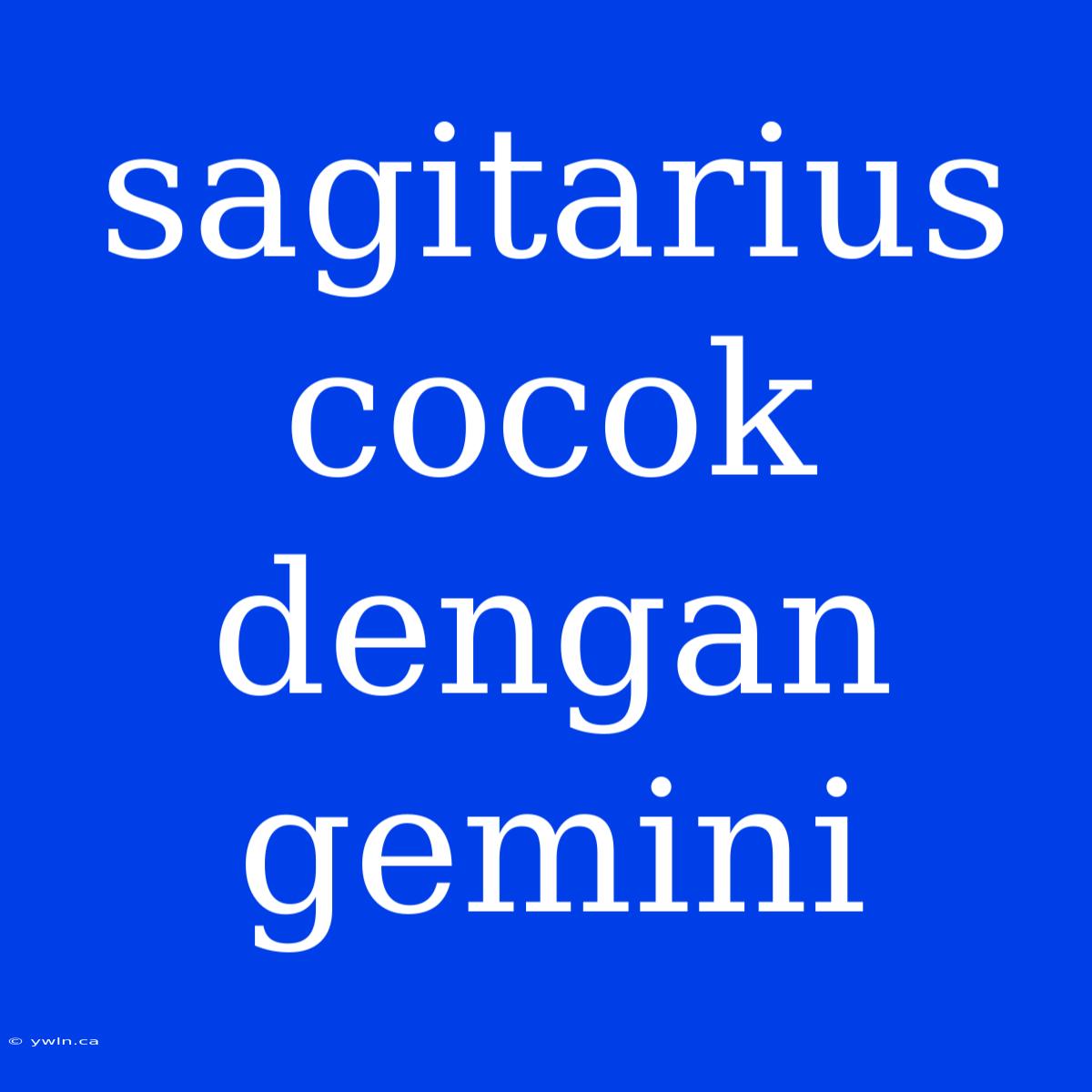 Sagitarius Cocok Dengan Gemini