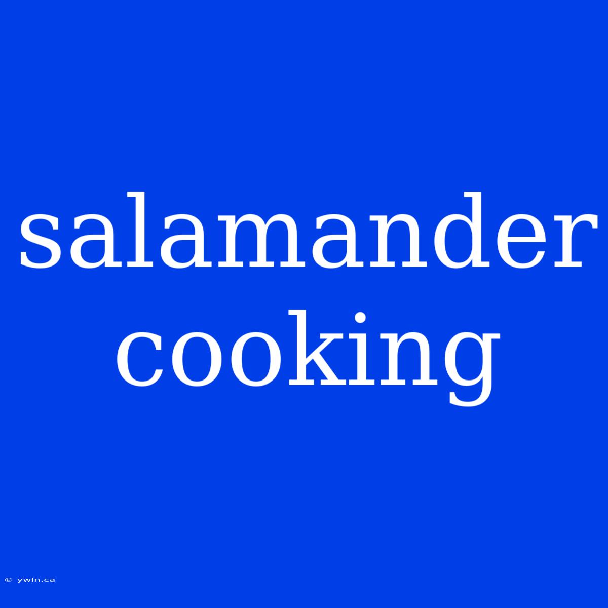 Salamander Cooking