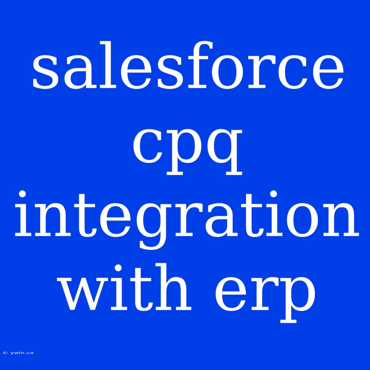 Salesforce Cpq Integration With Erp