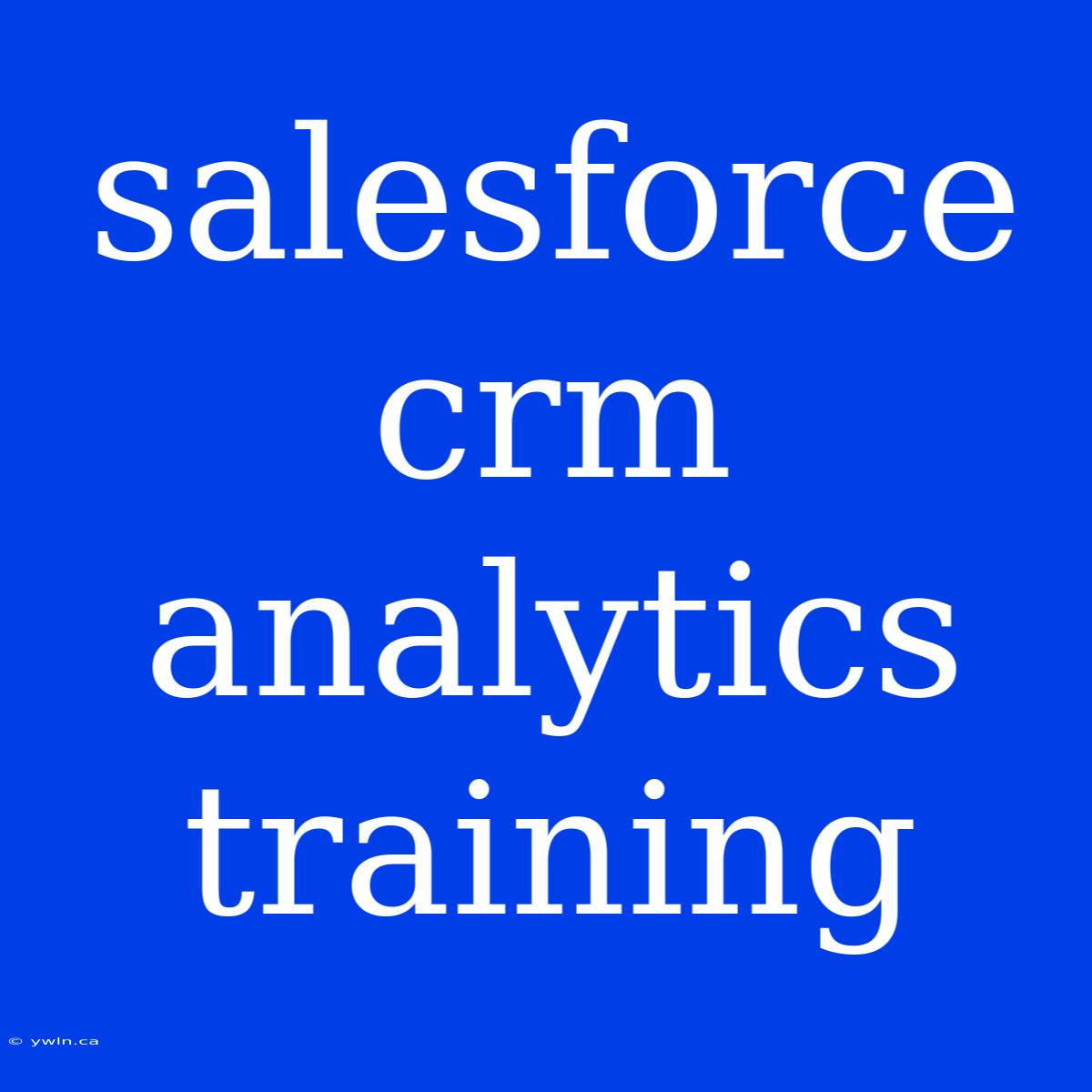 Salesforce Crm Analytics Training