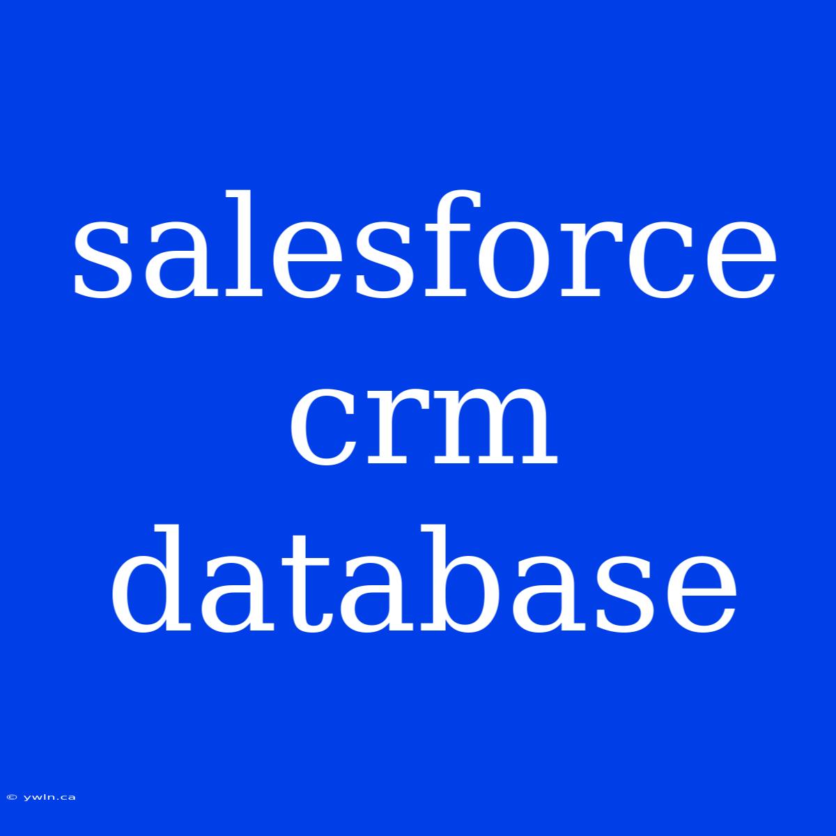 Salesforce Crm Database