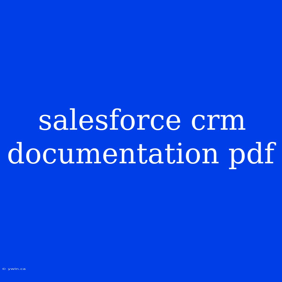 Salesforce Crm Documentation Pdf