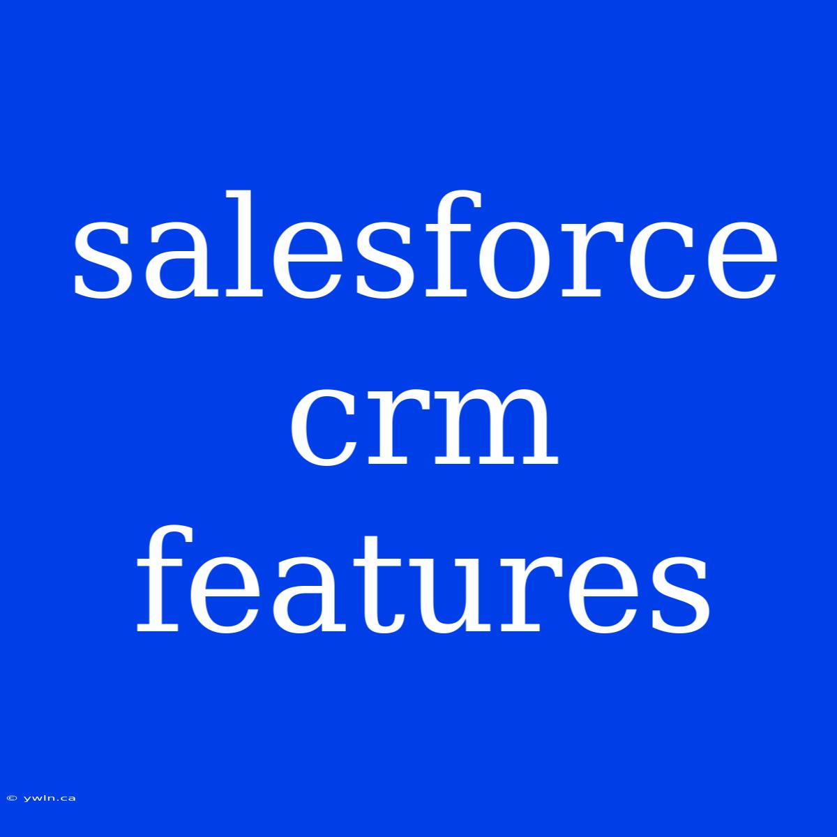 Salesforce Crm Features