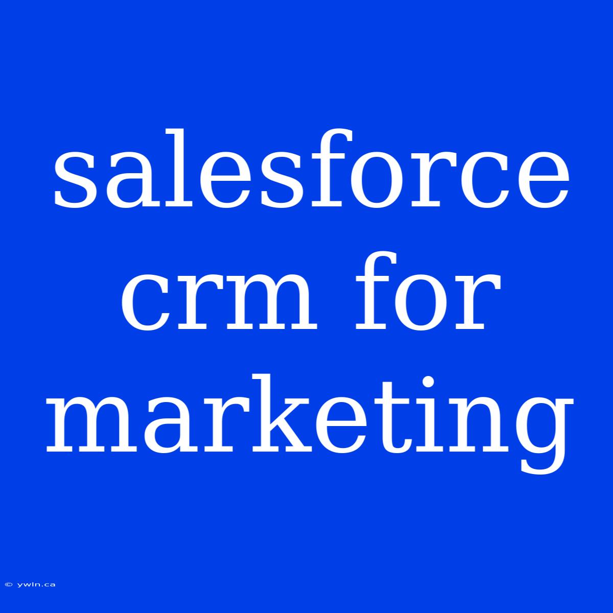 Salesforce Crm For Marketing