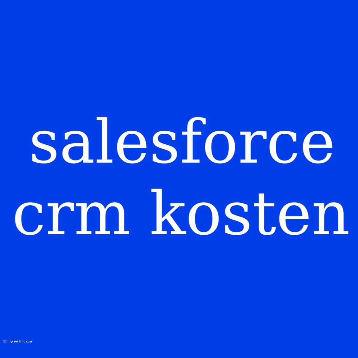 Salesforce Crm Kosten