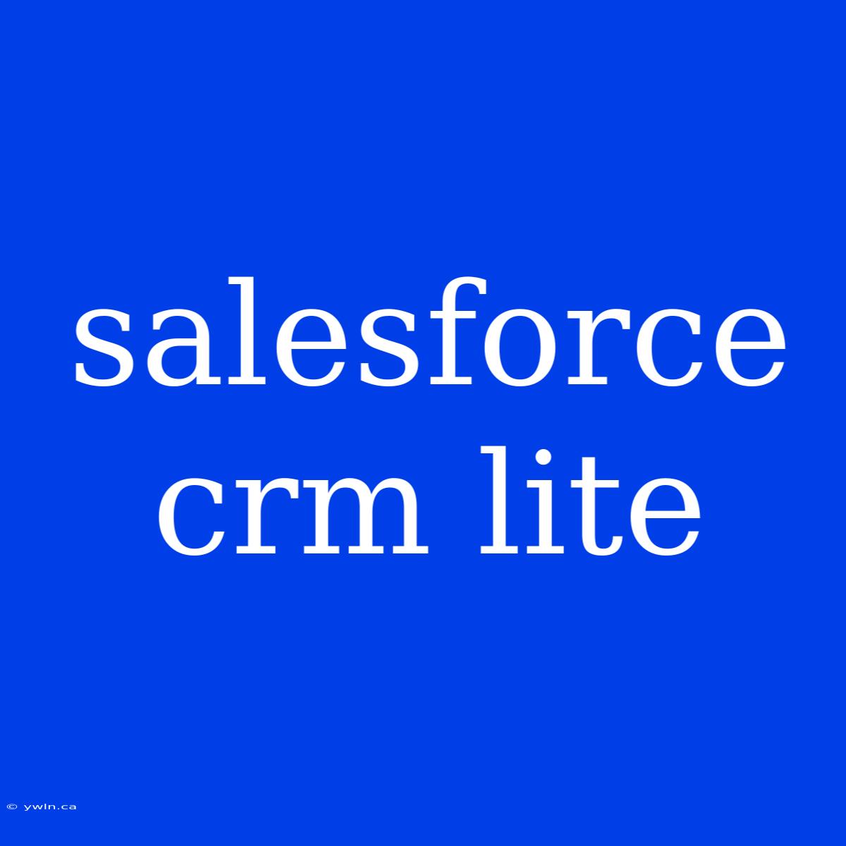 Salesforce Crm Lite