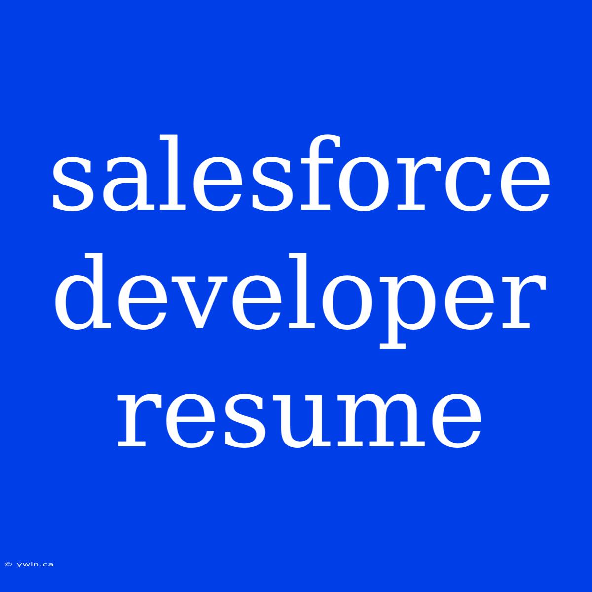 Salesforce Developer Resume