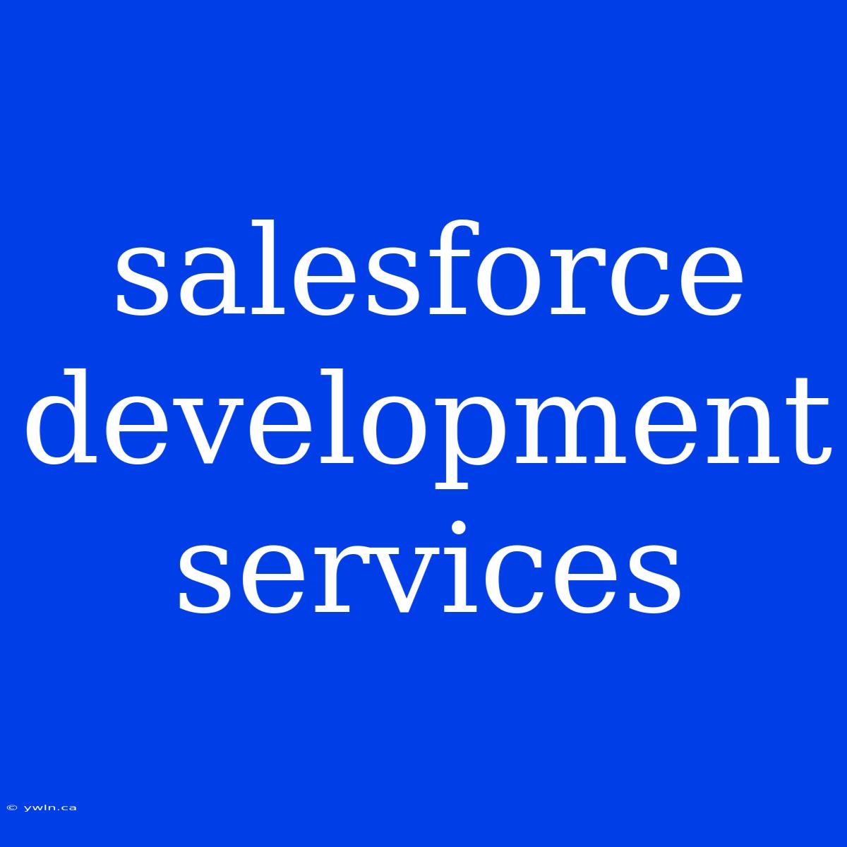 Salesforce Development Services