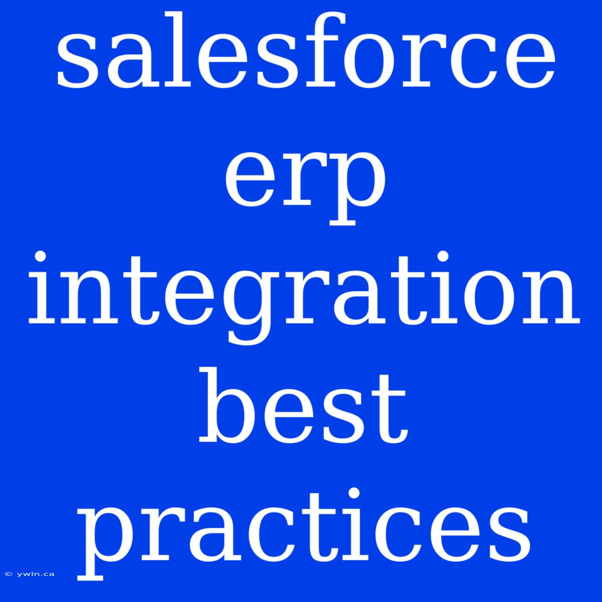 Salesforce Erp Integration Best Practices