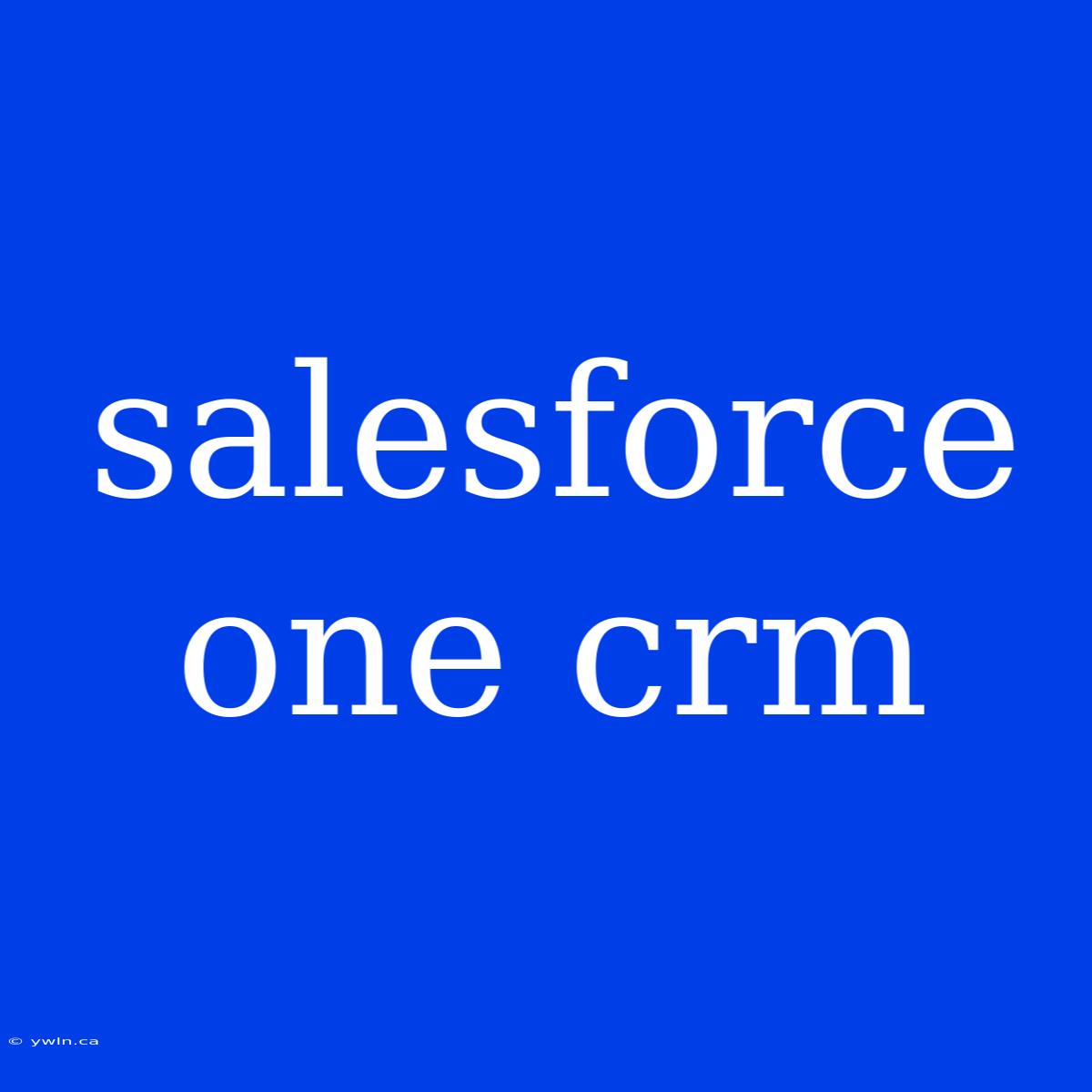 Salesforce One Crm