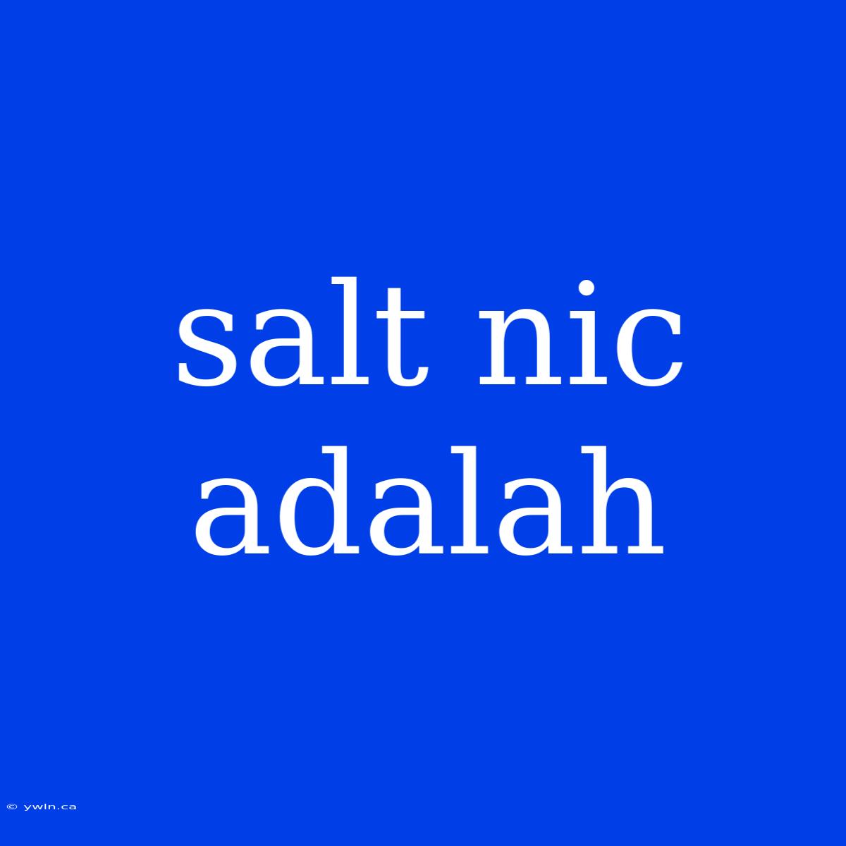 Salt Nic Adalah