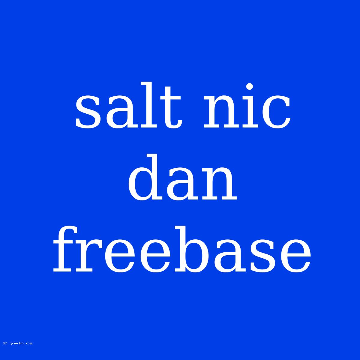 Salt Nic Dan Freebase