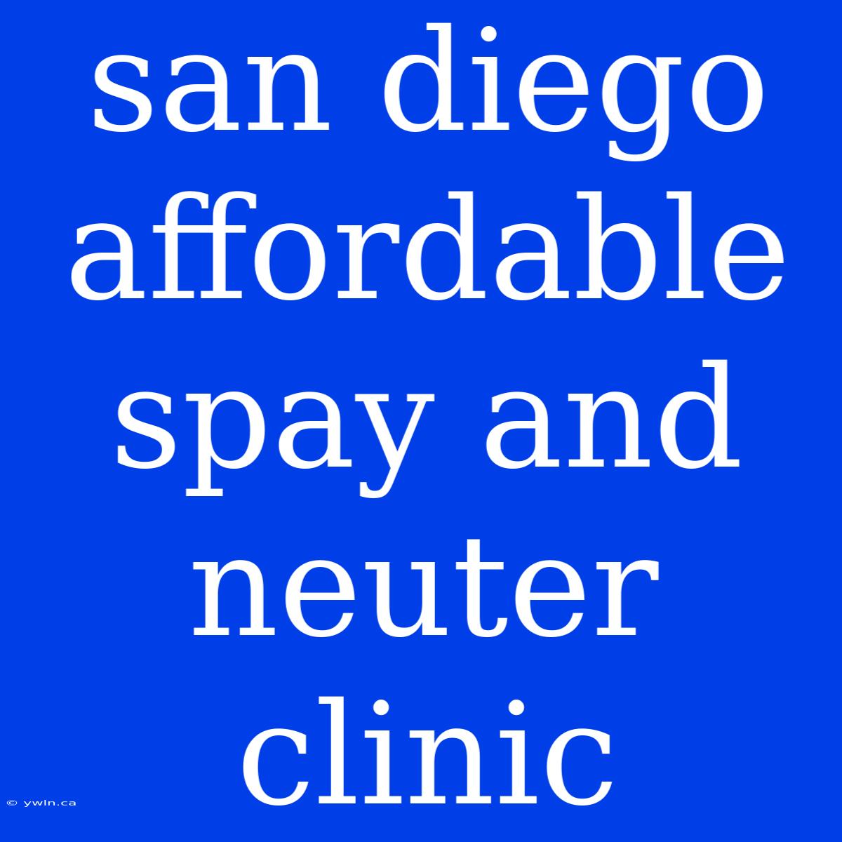 San Diego Affordable Spay And Neuter Clinic