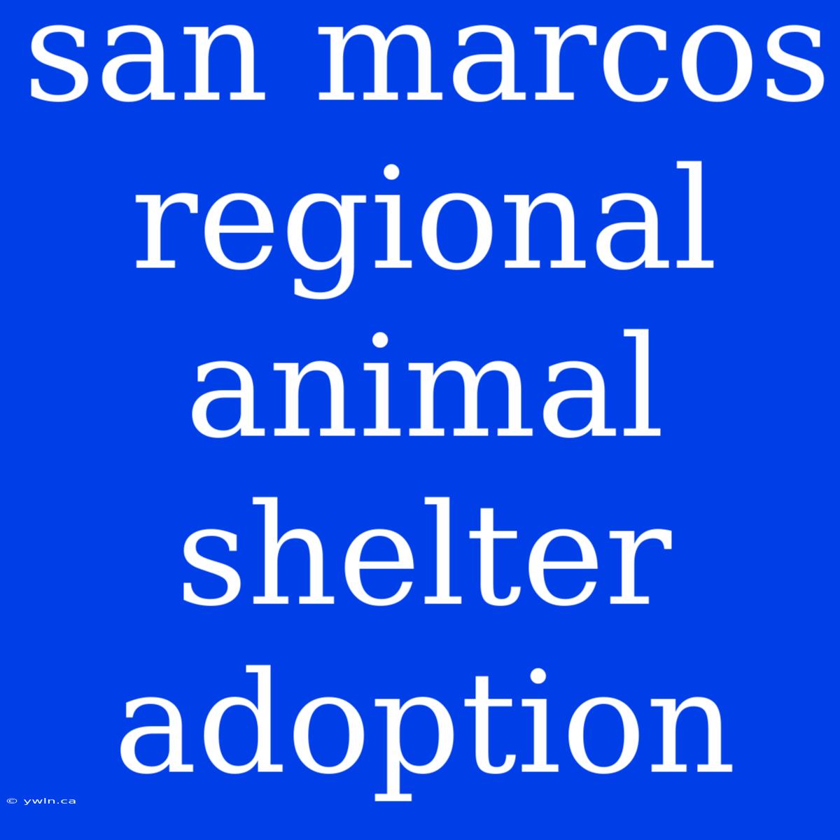 San Marcos Regional Animal Shelter Adoption