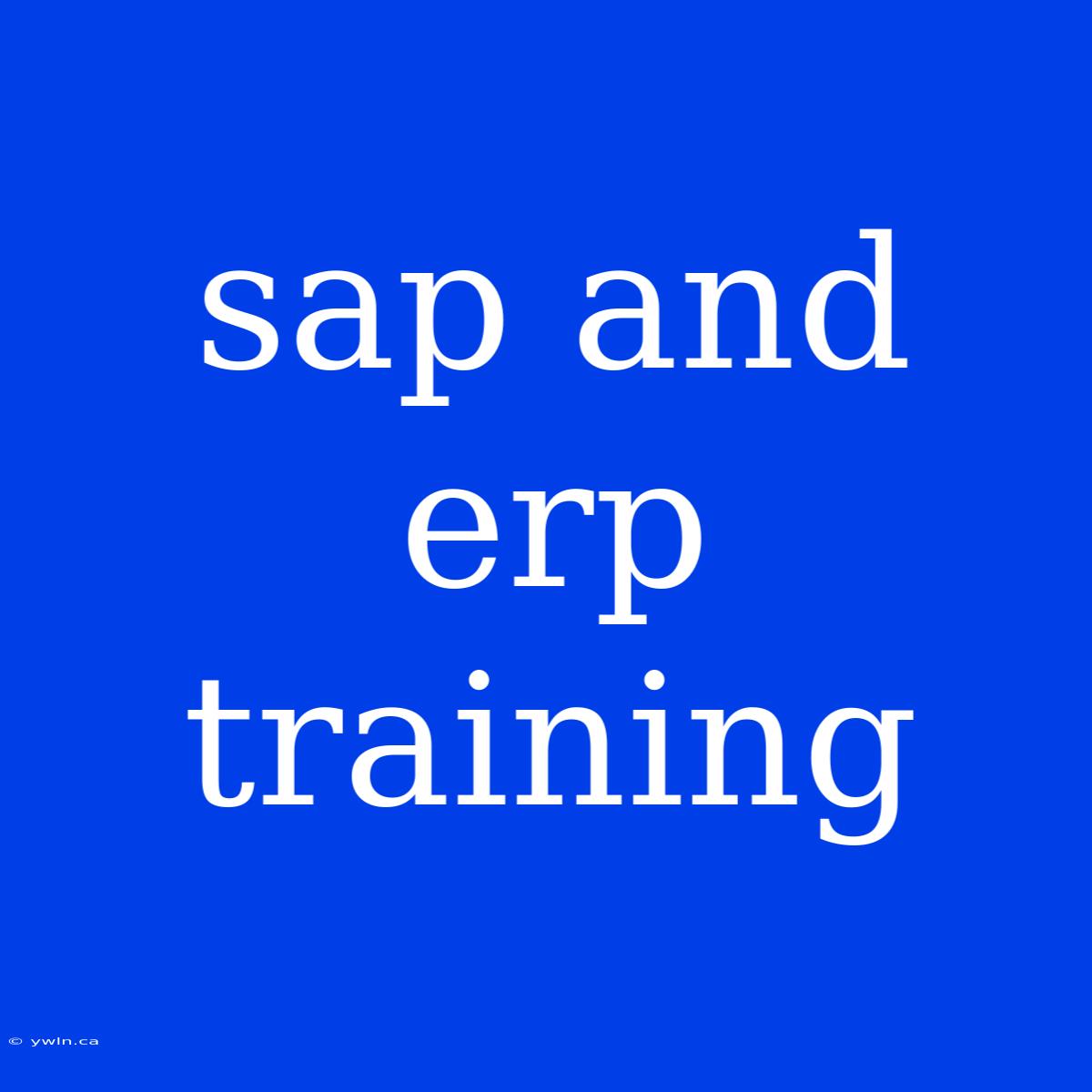 Sap And Erp Training