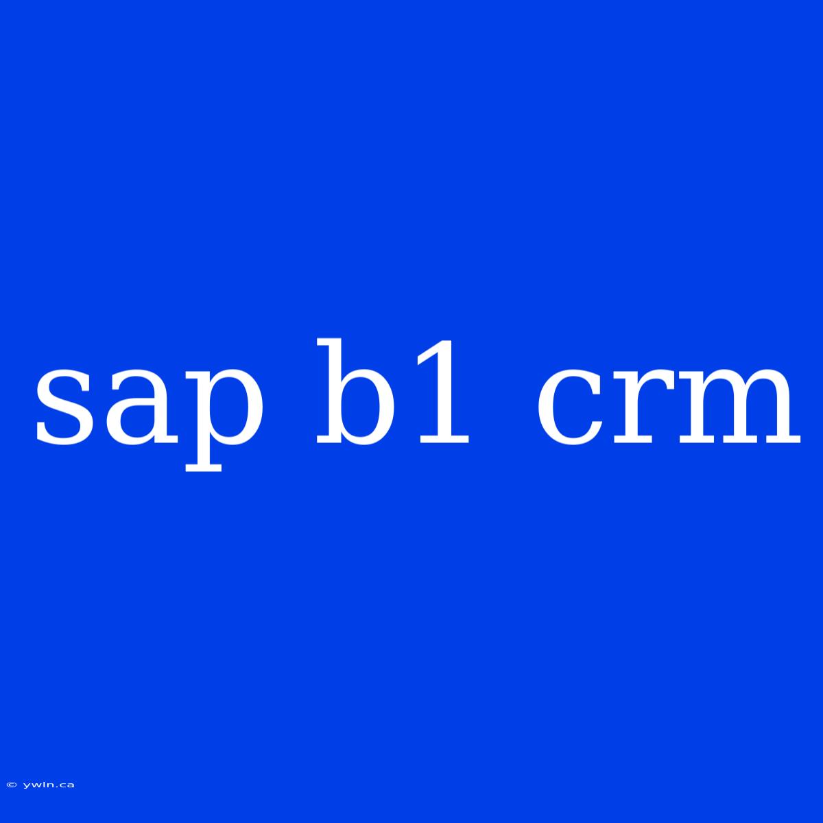 Sap B1 Crm