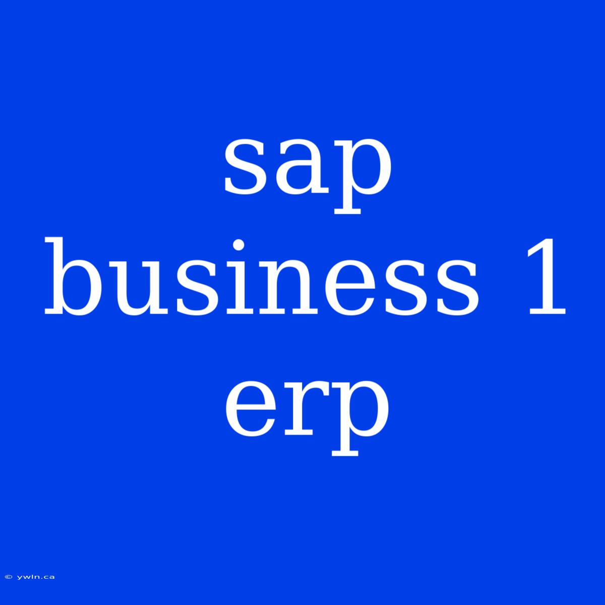 Sap Business 1 Erp