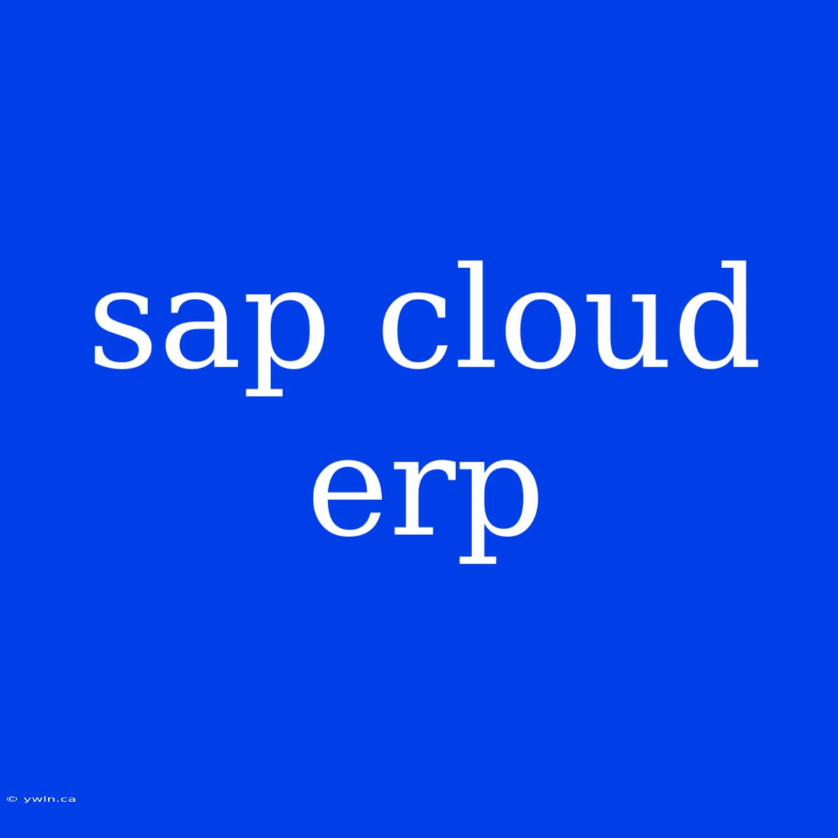 Sap Cloud Erp