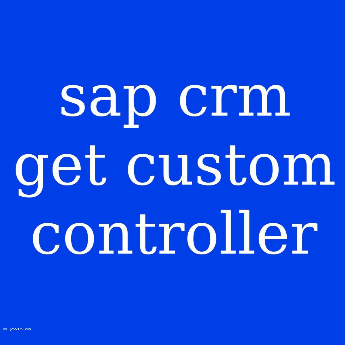 Sap Crm Get Custom Controller