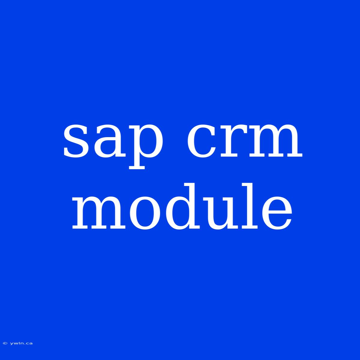 Sap Crm Module