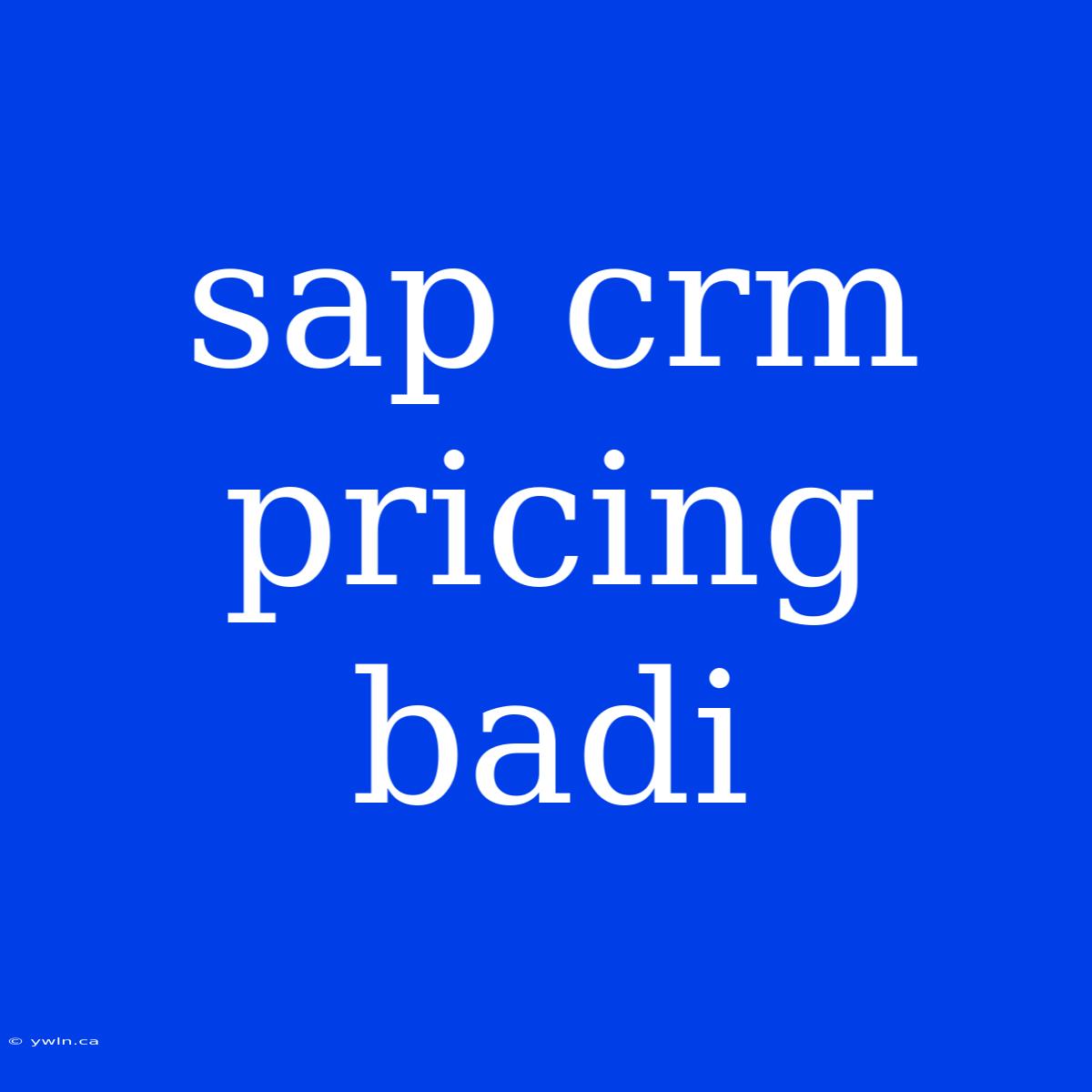 Sap Crm Pricing Badi