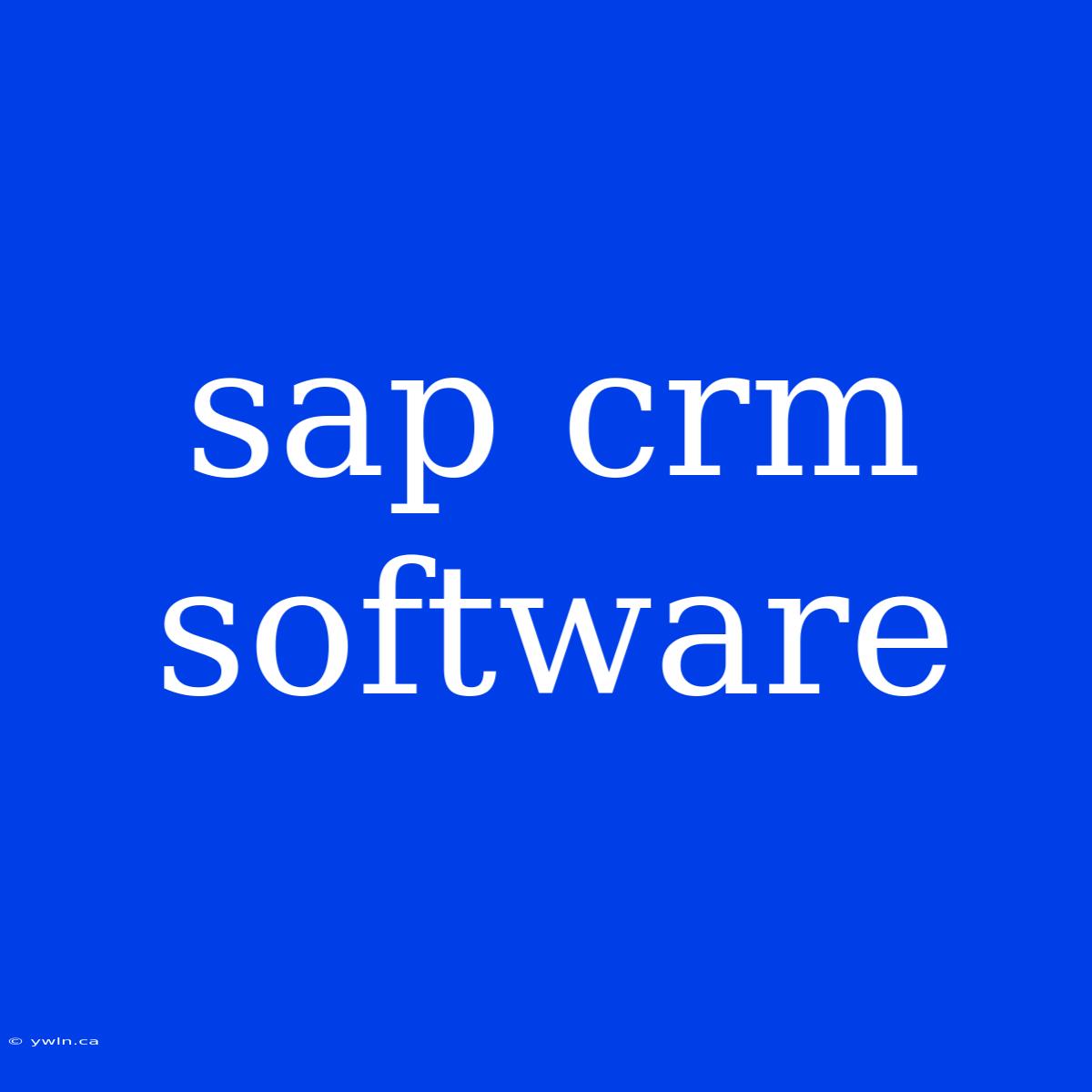 Sap Crm Software