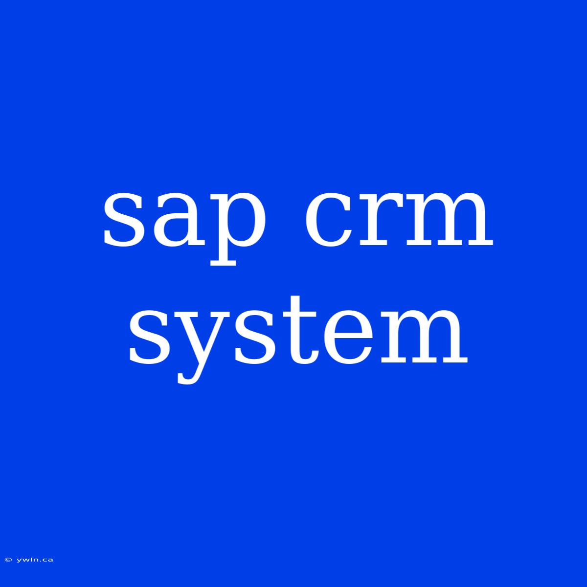 Sap Crm System