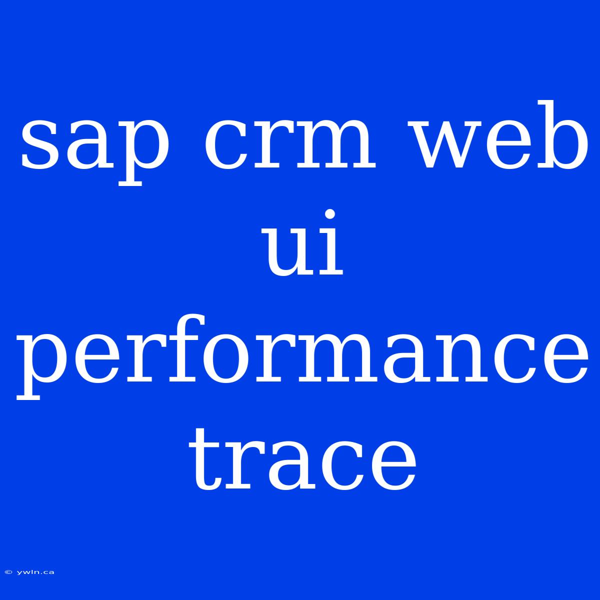 Sap Crm Web Ui Performance Trace