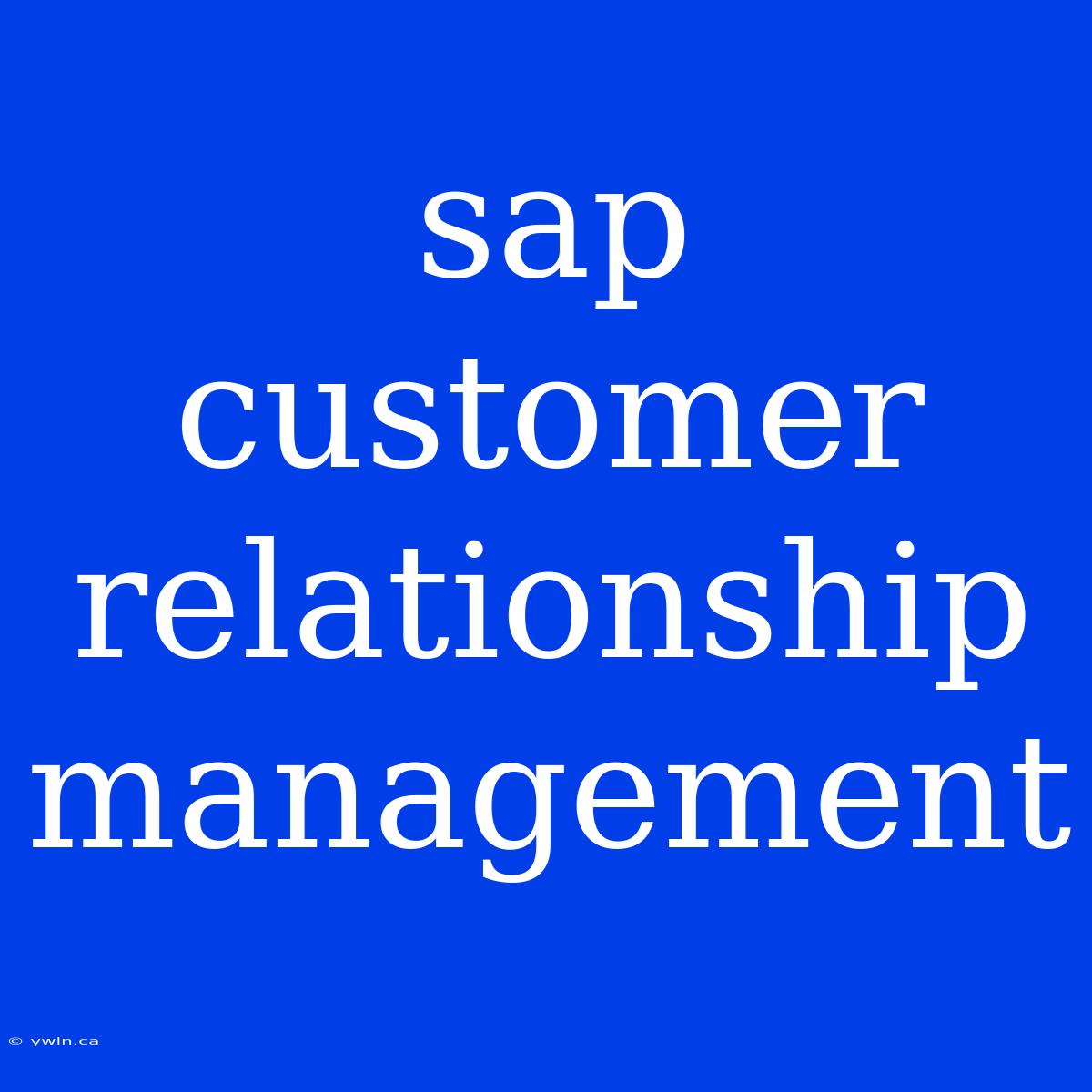 Sap Customer Relationship Management