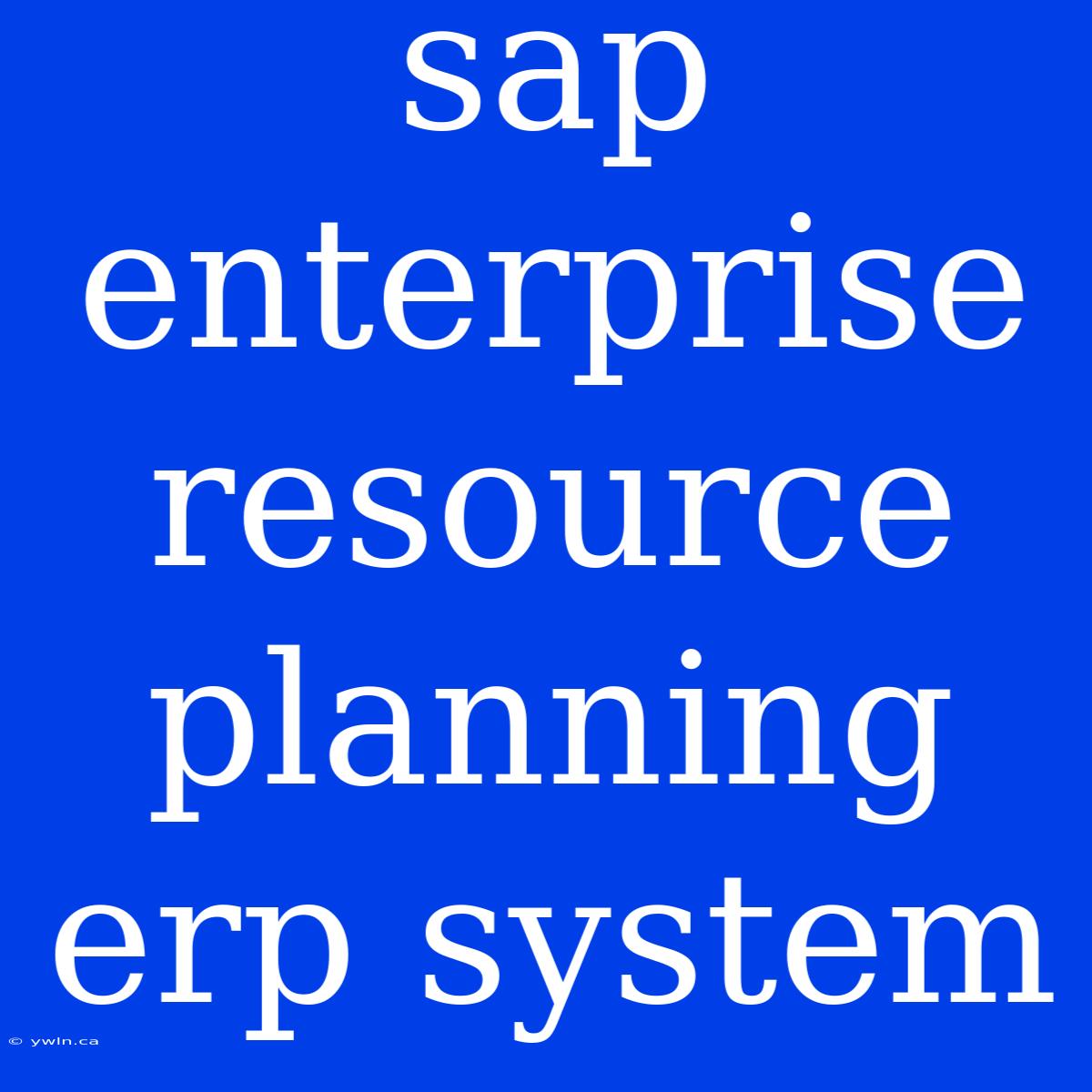 Sap Enterprise Resource Planning Erp System