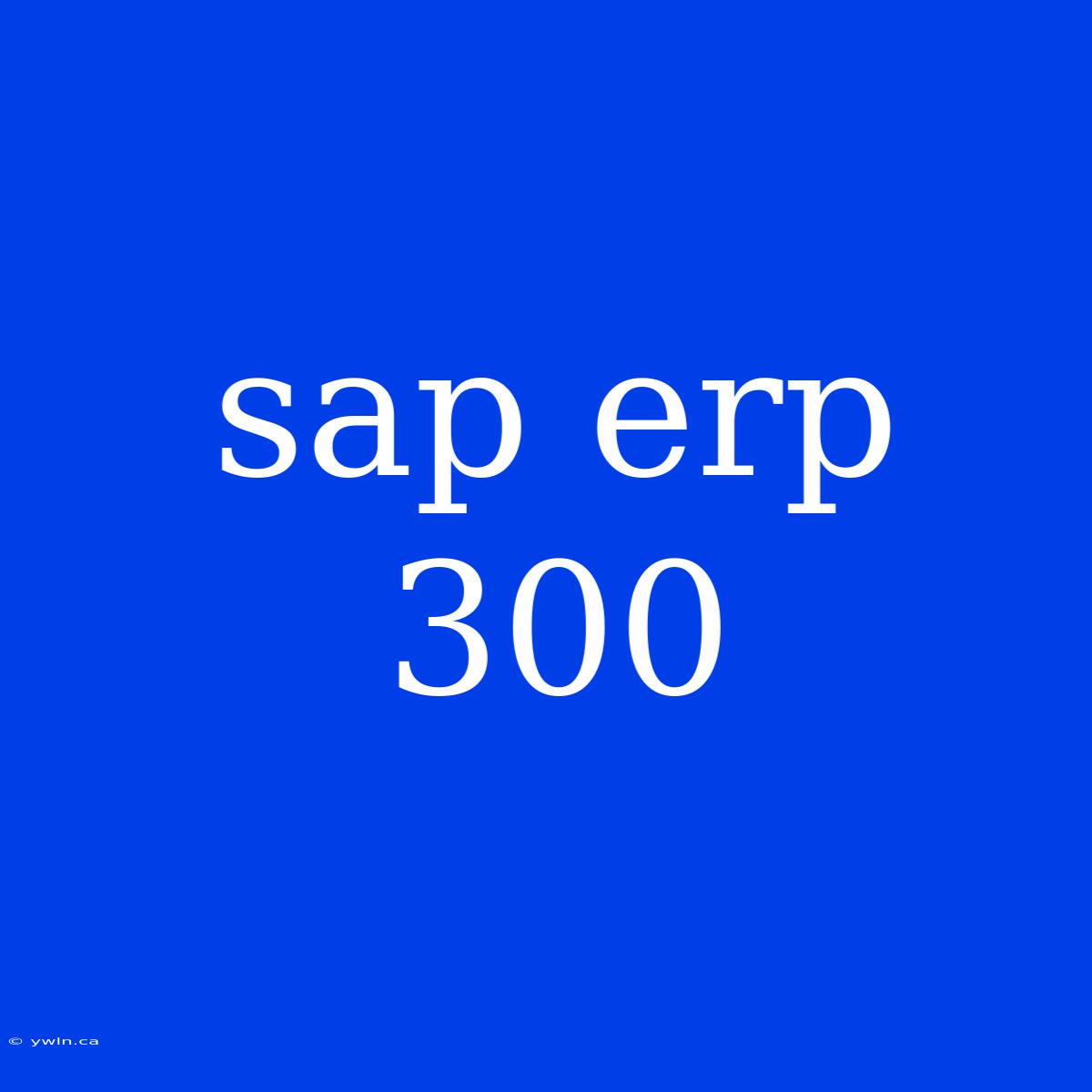 Sap Erp 300