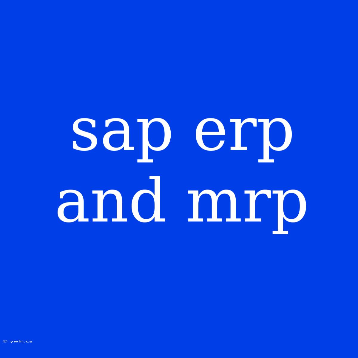 Sap Erp And Mrp