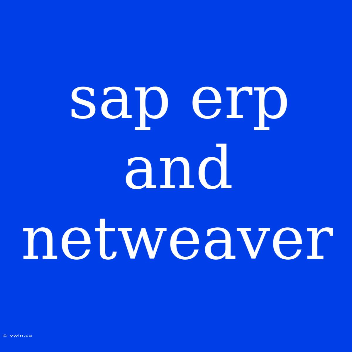 Sap Erp And Netweaver