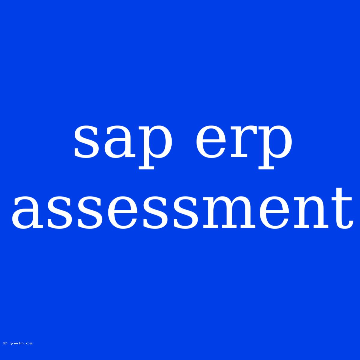 Sap Erp Assessment