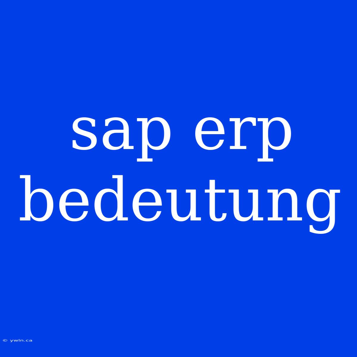 Sap Erp Bedeutung