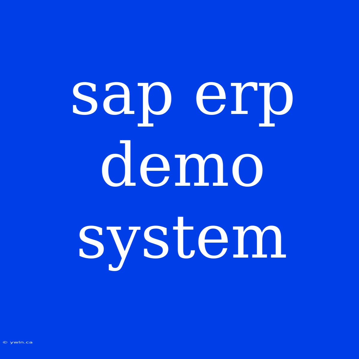 Sap Erp Demo System