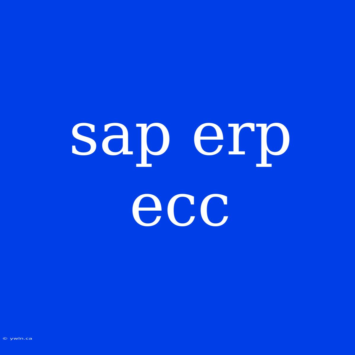 Sap Erp Ecc