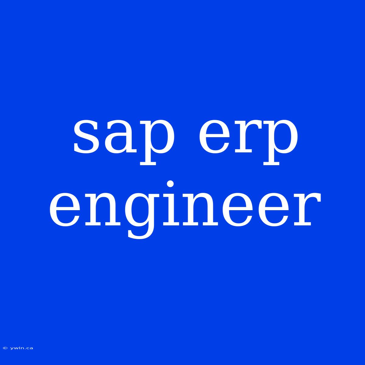 Sap Erp Engineer