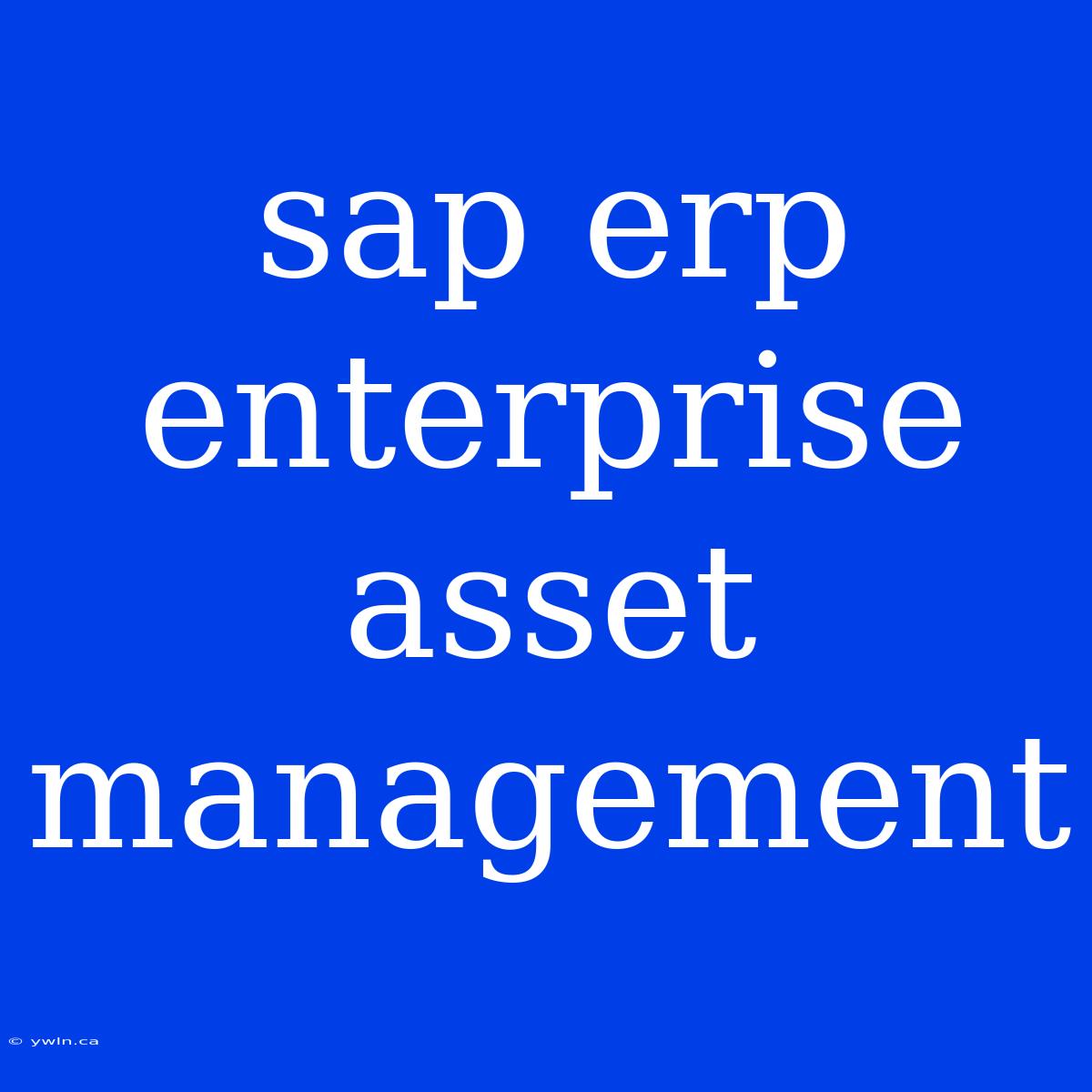 Sap Erp Enterprise Asset Management